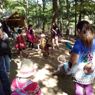 service jeunesse - Les stages