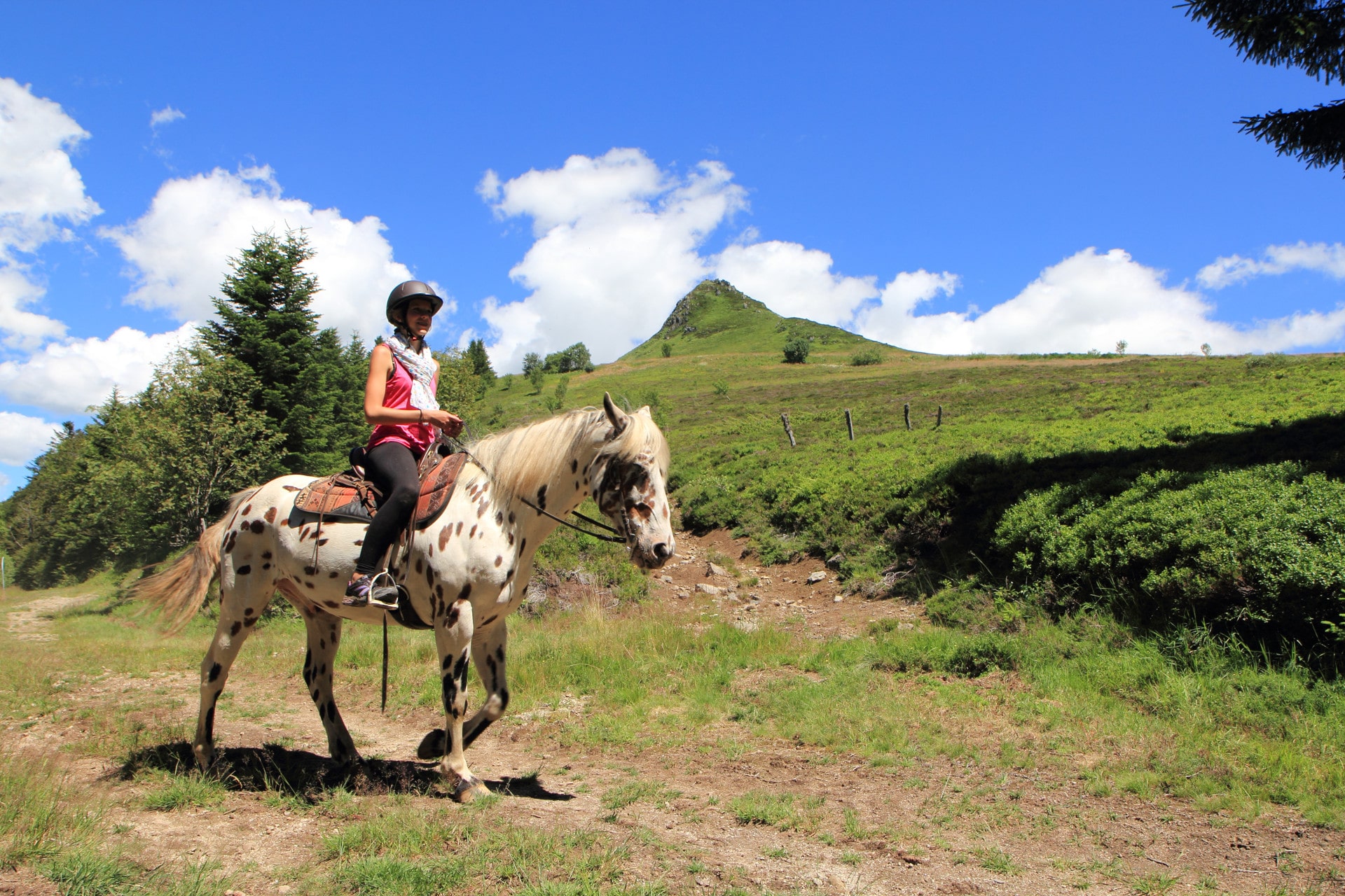 Randonnées à cheval à Chastreix