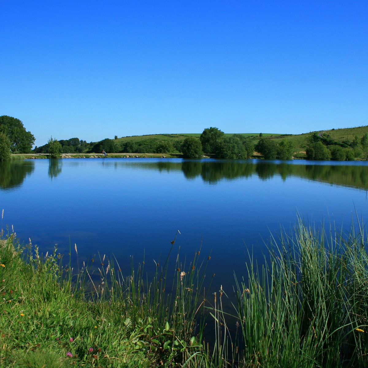 lac-pre-cohadon-murat