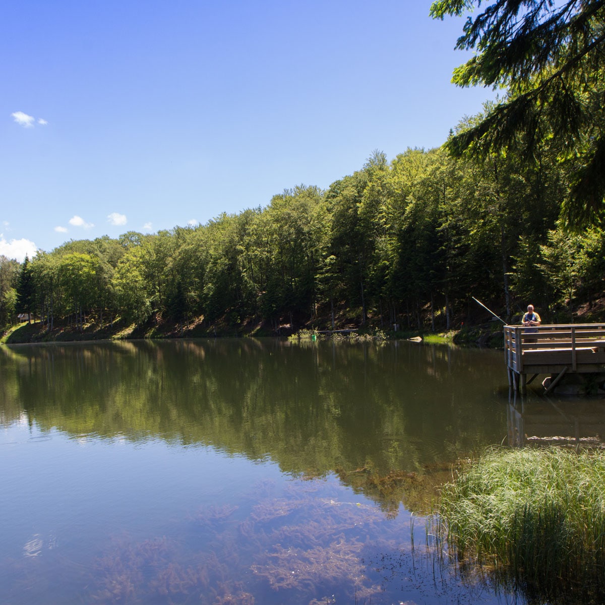 Picherande, le Lac de Gayme