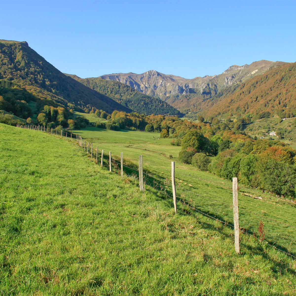 La Réserve Natutrelle de La Vallée de Chaudefour