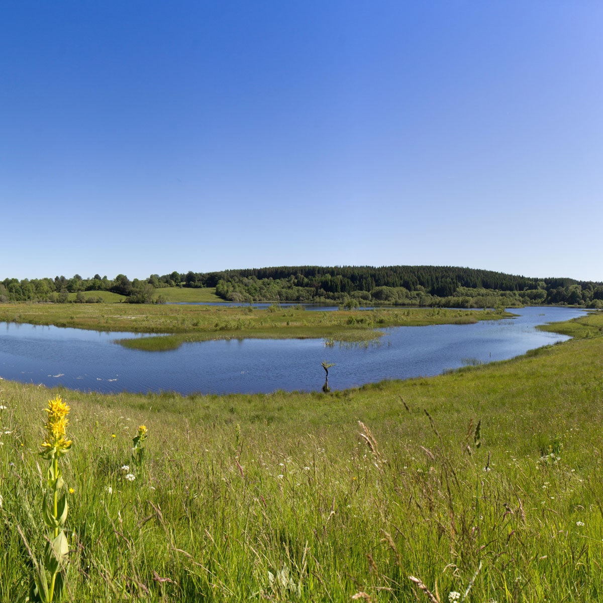 Egliseneuve d'Entraigues, le Lac de l'Esclauze