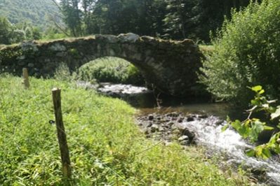 sondage-grand-public2 sondage-grand-public2