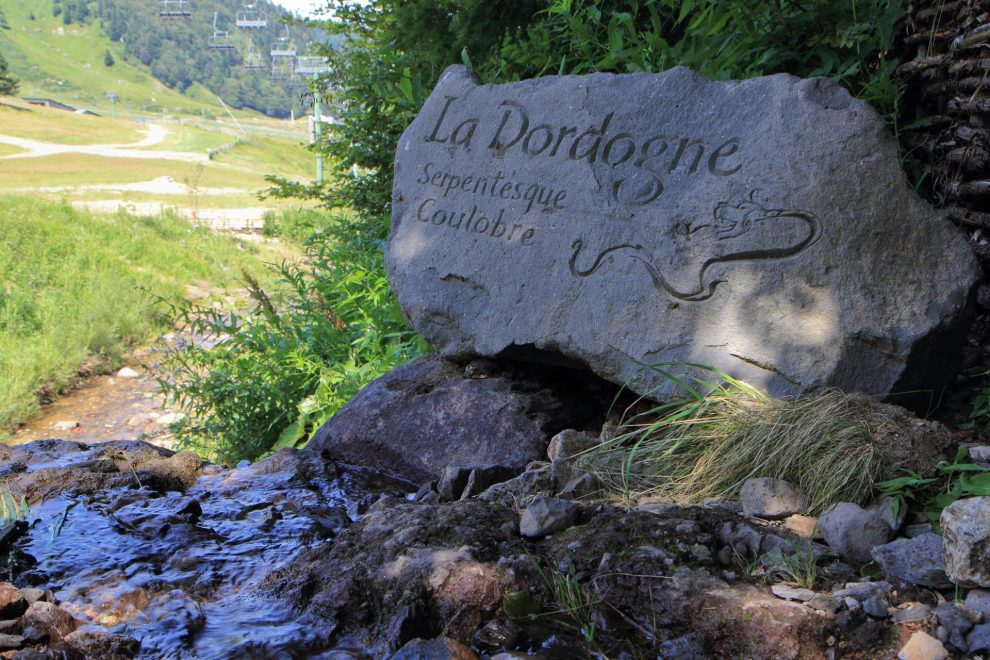 Source de La Dordogne