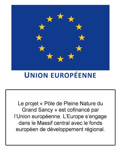 Union Européenne