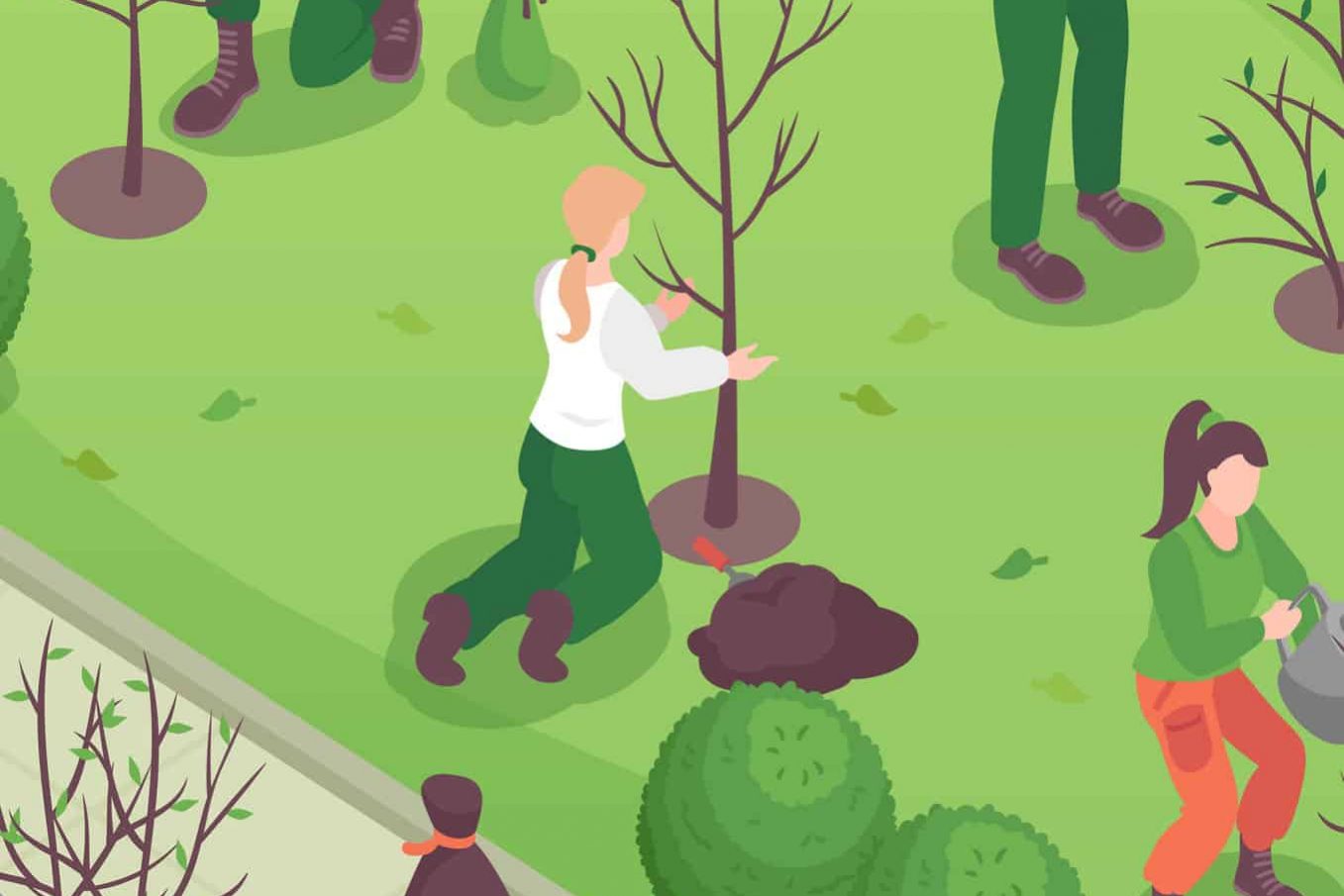 atelier-conduite-arbres