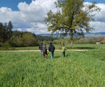 Visuel Agriculture