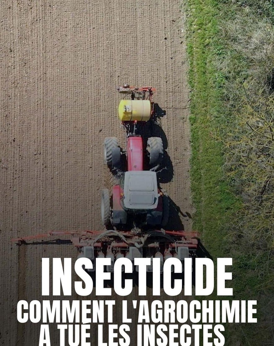 Affiche Insecticide Affiche Insecticide